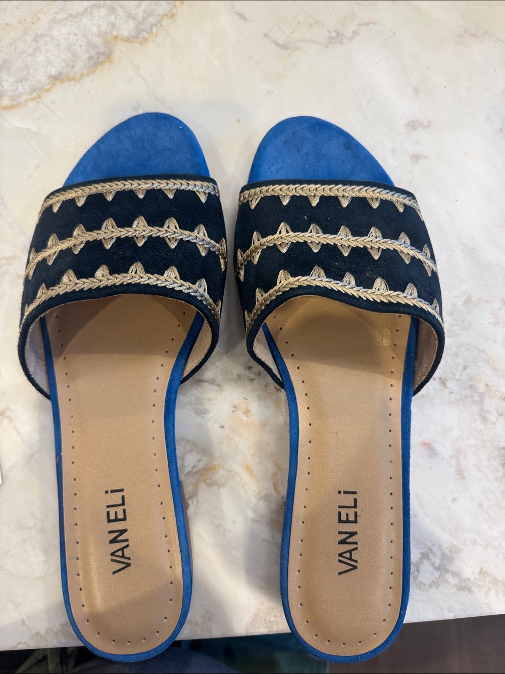 Vaneli Blue and Black Embroidered Slide Mules